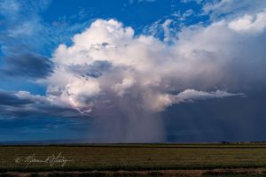 View Larger Image »